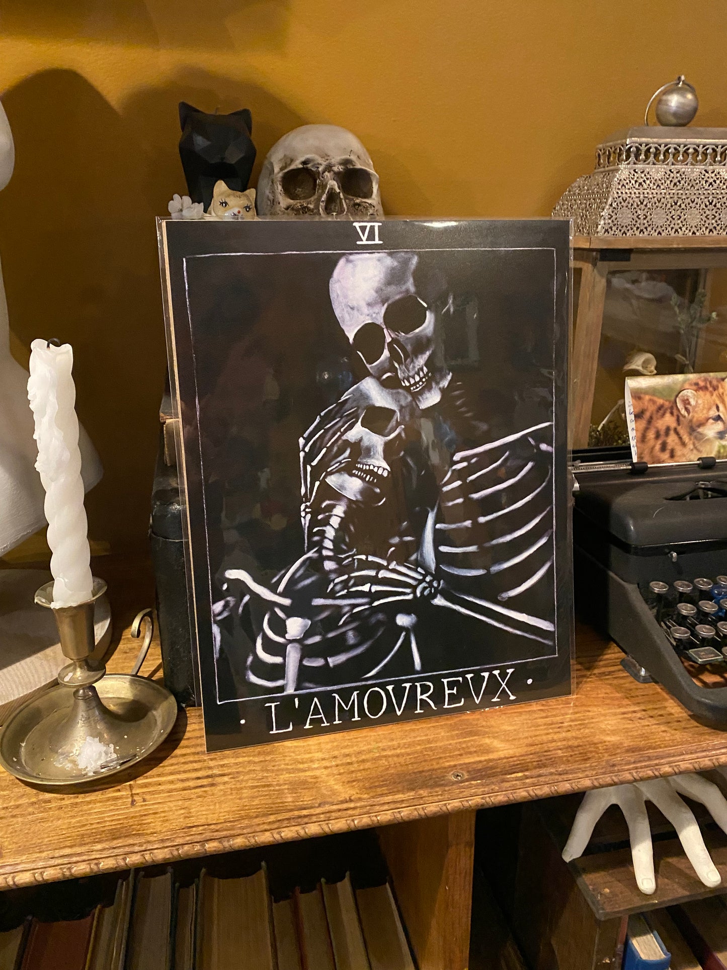 Clearance/Sale/Deadstock